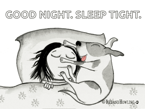 Bedtime Dog GIF