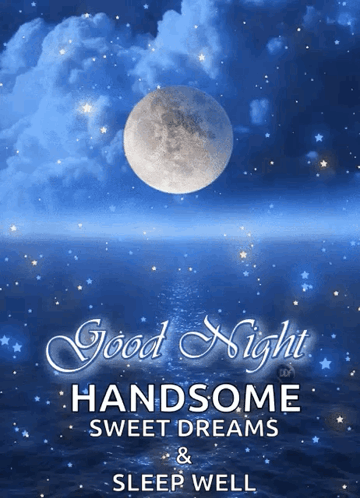 Bedtime Goodnight GIF