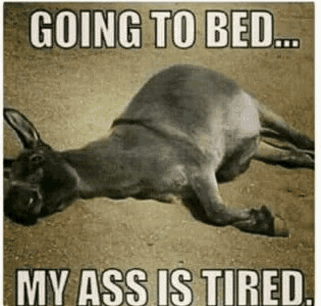 Bedtime Meme