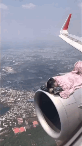 Bedtime GIF. This 280 x 498 animated GIF is part of our funny airplane collection. Related themes include bedtime. Created by Paszxy. View the original…