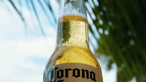 Beer Beers GIF. This 498 x 280 animated GIF is part of our cerveza corona collection. Related themes include beer, celebration, congrats. Created by…