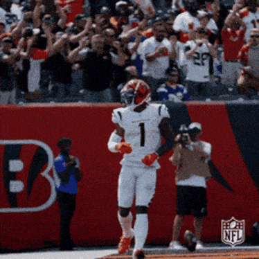 Begals Chaseee GIF