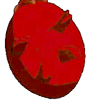 Behelit Sticker