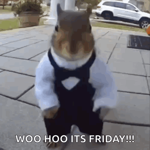 Belka Dancing GIF