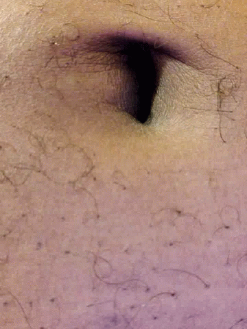 Belly GIF