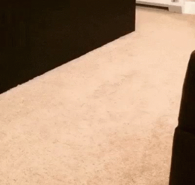 Belt Slither GIF. This 400 x 380 animated GIF is part of our self flagellation collection. Created by MariahLindsey. View the original animation, share it…
