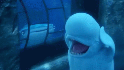 Beluga Whale Finding Dory GIF