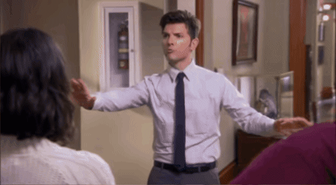 Ben Wyatt Parks And Recreation GIF