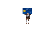 Benjammins Credit Card Sticker