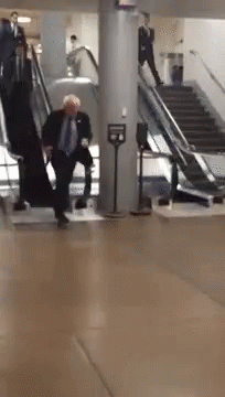 Bernie Bernie Sanders GIF