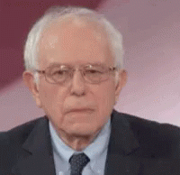 Bernie What GIF