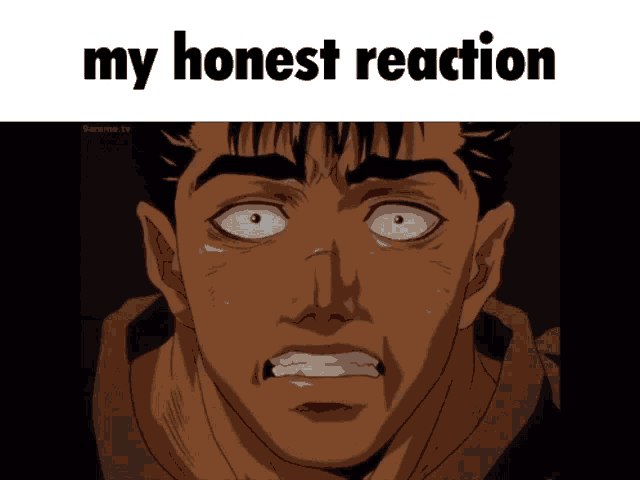 Berserk Berserk Reaction GIF