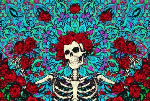 Bertha Crazy GIF. This 296 x 200 animated GIF is part of our grateful dead collection. Related themes include colorful, crazy, flash. View the original…