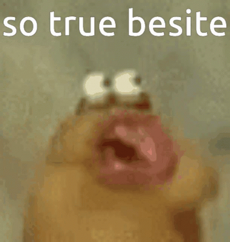 Besite So True Besite GIF