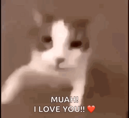 Besito Catlove GIF