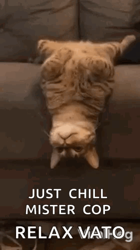Best Behavior Behave GIF