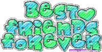 Best Friend Forever Sticker