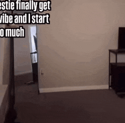 Best Friend Mirror GIF