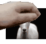 Bestgoat2022 Greatest Of All Time Sticker
