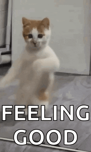 Bestie GIF