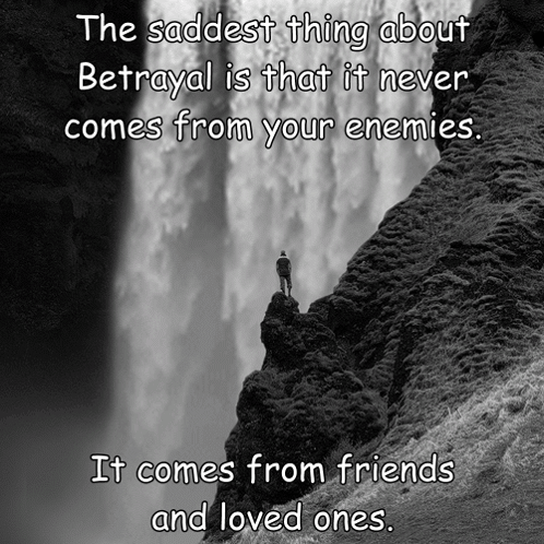Betrayal Betrayed GIF