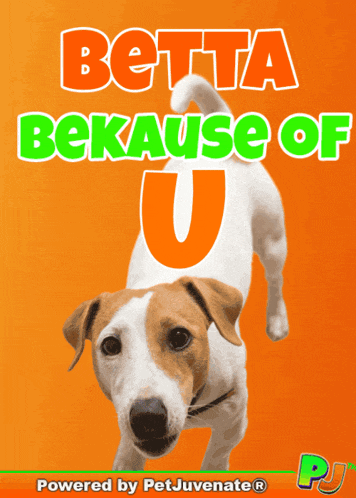 Better Because Of You You Lif GIF