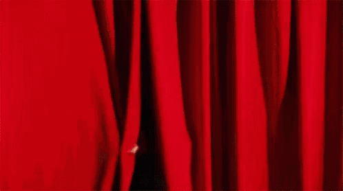 Bey Beyonce GIF