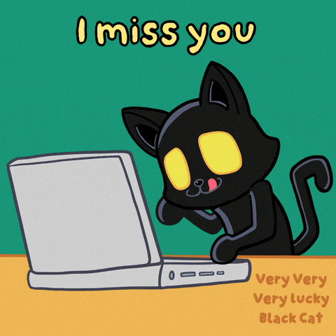 Bf Blact Cat GIF