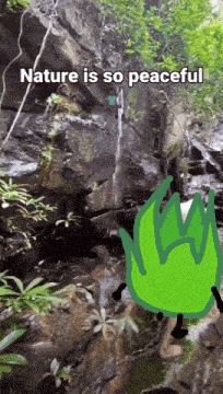 Bfb Bfdi GIF