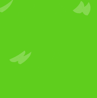 Bfdi Bfb GIF