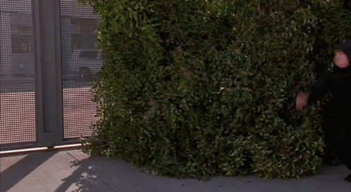 Bh187 Beverly Hills Ninja GIF