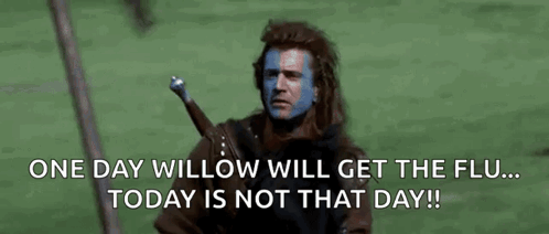 Bh187 Braveheart GIF