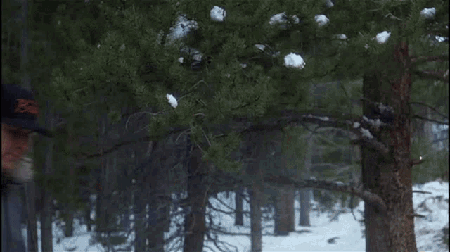 Bh187 Christmas GIF