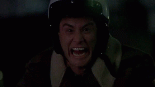 Bh187 Dumb And Dumber GIF