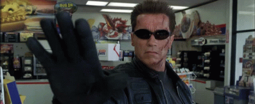 Bh187 Terminator GIF