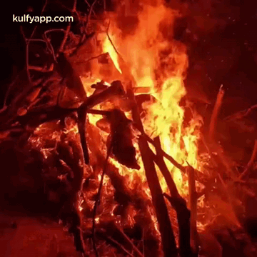 Bhogi Manta.Gif GIF. This 360 x 360 animated GIF is part of our bhogi wishes collection. Related themes include fire, love, nature. Created by kulfy. View…