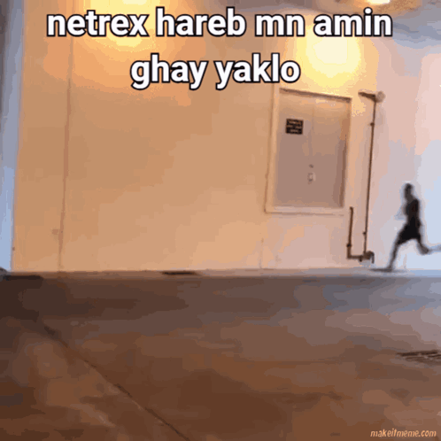 Bibiz GIF