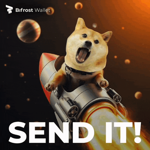 Bifrost Bifrost Wallet GIF