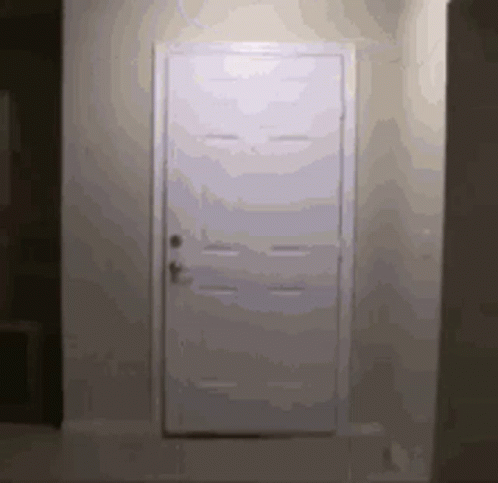Big Bird GIF