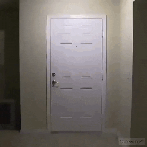 Big Bird Sam GIF