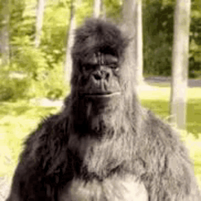 Big Brain GIF