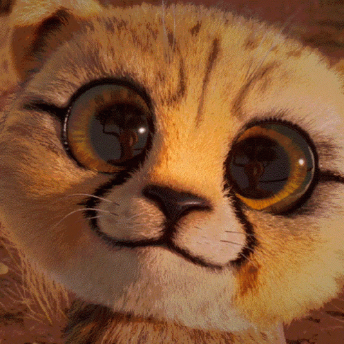 Big Eyes Blinking GIF