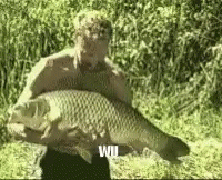 Big Fish GIF. This 200 x 162 animated GIF is part of our fish are friends not food collection. Related themes include fish. View the original animation…