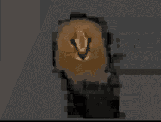 Big Floppa Spin GIF