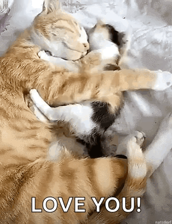 Big Hug GIF