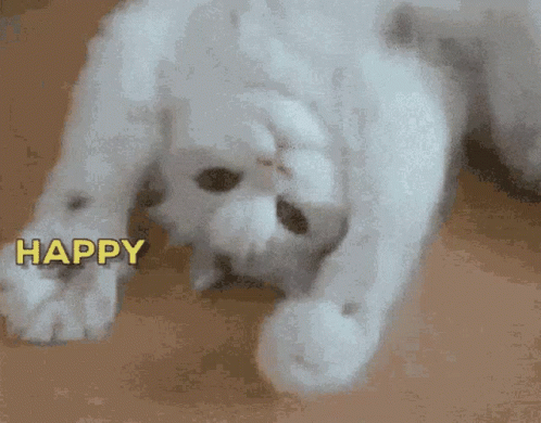 Big Hug GIF