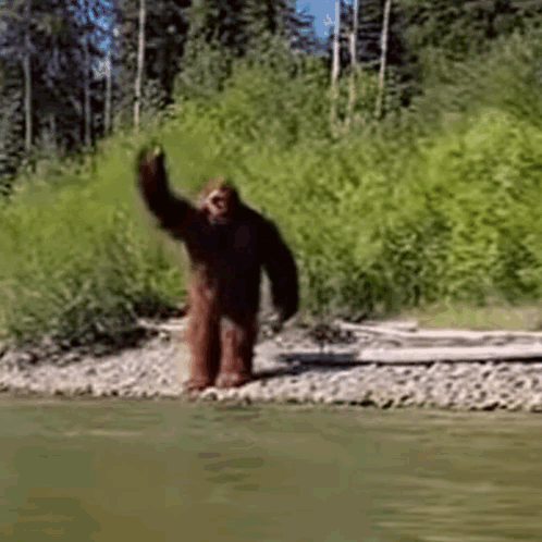 Bigfoot Hello GIF. This 498 x 498 animated GIF is part of our wave collection. Related themes include hello. Created by movmysteries. View the original…