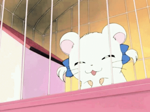Bijou Hamtaro GIF