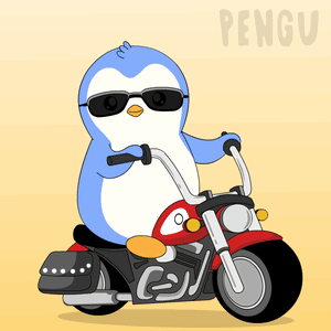 Bike Biker GIF