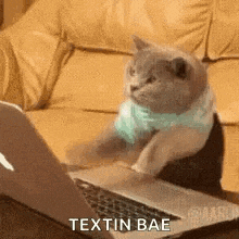 Bills Ugh GIF